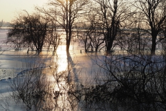 uiterwaarden#(20210212)e landschappen