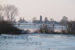 uiterwaarden#(20210212)g landschappen