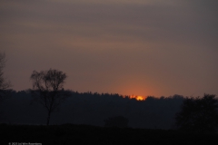 sunset groot ginkelseweg#(20230215)b landschappen