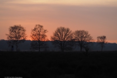 sunset groot ginkelseweg#(20230215)a landschappen