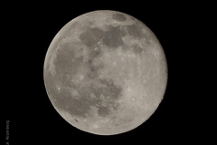 maan#(20210227) landschappen