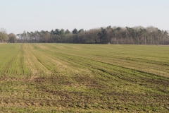 akker#(20210302) landschappen