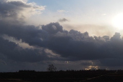 ginkelse heide#(20200303) landschappen