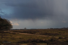 ginkelse heide#(20200303) landschappen