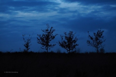 sunset ginkelse heide#(20200309) landschappen