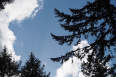 lucht#(20230313) landschappen