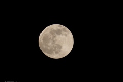 maan#(20230405) landschappen
