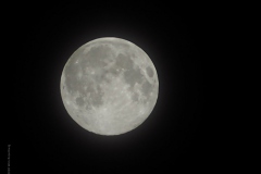 maan#(20200408) landschappen