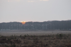sunrise planken wambuis#(20180408)a landschappen