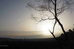 sunrise planken wambuis#(20180408)b landschappen