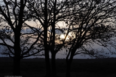 sunset edese heide#(20230411)e landschappen
