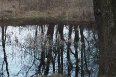 plas#(20230411) landschappen