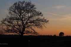 sunset edese heide#(20180419) landschappen
