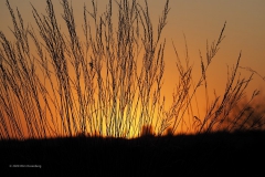 sunset ginkelse heide#(20200421) landschappen