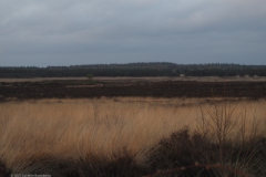 sunset edese heide#(20230424)b landschappen