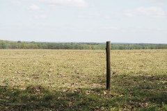 planken wambuis#(20200425) landschappen