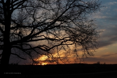 sunset ginkelse heide#(20210426)b landschappen