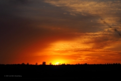 sunset ginkelse heide#(20210426)c landschap