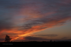 sunset ginkelse heide#(20210426)d landschap