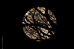 maan#(20210427)t landschappen