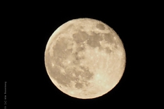 maan#(20210427)a landschappen