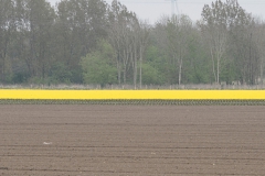 akker#(20210511)a landschappen