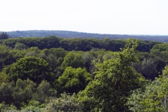 wekerom#(20230528)c landschappen