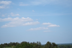 wekerom#(20230528)a landschappen
