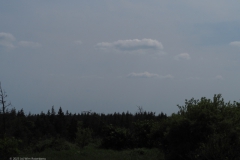 wekerom#(20230528)b landschappen