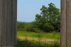 wekerom#(20230528)d landschappen
