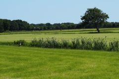 akker#(20230604) landschappen
