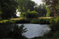 doorn#(20240607)a  landschappen