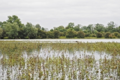 blauwe kamer#(20240614)c landschappen