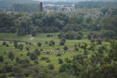 blauwe kamer#(20240614)d landschappen