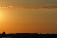 sunset edese heide#(20240624)a landschappen