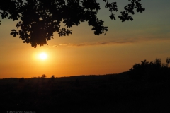 sunset edese heide#(20240624)b landschappen