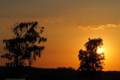 sunset edese heide#(20240624)d landschappen