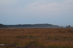 sunset ginkelse heide#(20190624) landschappen