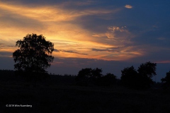 sunset ginkelse heide#(20190624) landschappen
