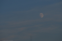 maan#(20240717) landschappen