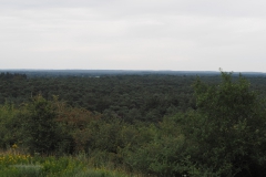wekerom#(20200727)a landschappen