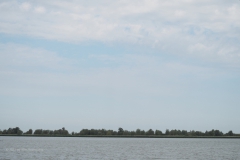 oostvaardersplassen#(20220729)b landschappen