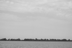 oostvaardersplassen#(20220729)bzw landschappen