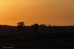 sunset ginkelse heide#(20220803)a landschappen