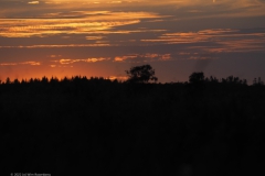 sunset ginkelse heide#(20220803)c landschappen