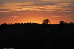 sunset ginkelse heide#(20220803)b landschappen