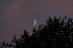 maan#(20220803)a landschappen