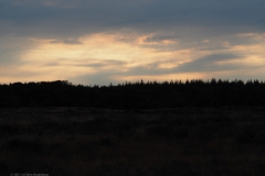 sunset ginkelse heide#(20210803) landschappen