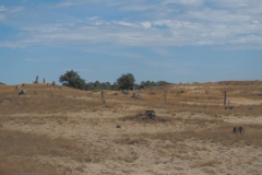 zand#(20210815)b landschappen