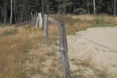 zand#(20210815)a landschappen